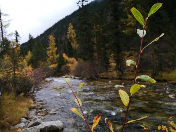 小驚喜～達古冰川山下沿途