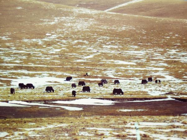 走!帶你去看看古人眼裡的中國! 走!帶你去看看古人眼裡的中國!