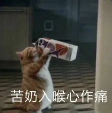 在選擇大於努力的時代,談談人生選擇的思考邏輯 在選擇大於努力的時代,談談人生選擇的思考邏輯