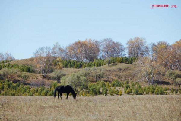 這一次,為什麼是承德? 這一次,為什麼是承德?