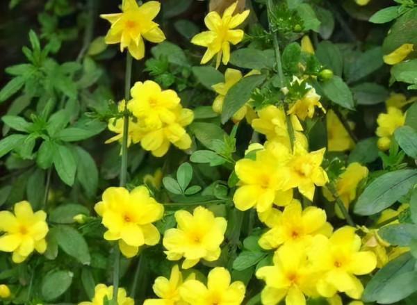 人到中年,聚散不驚,得失淡然,乃大智慧 人到中年,聚散不驚,得失淡然,乃大智慧