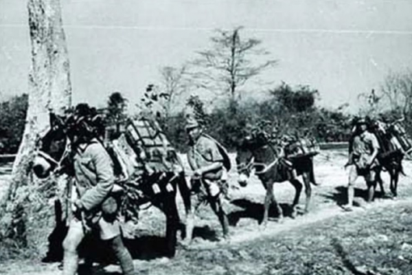 1000萬人口，卻出兵70萬，貴州“草鞋兵”，為抗戰做了多大貢獻？