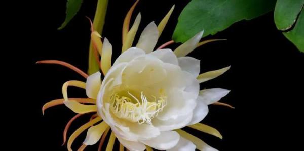 為什麼越來越多的人喜歡獨居生活? 為什麼越來越多的人喜歡獨居生活?