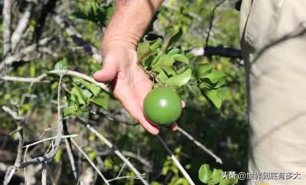 “塞席爾”現狀，比我國還富的非洲國家，帶你看看真實的塞席爾