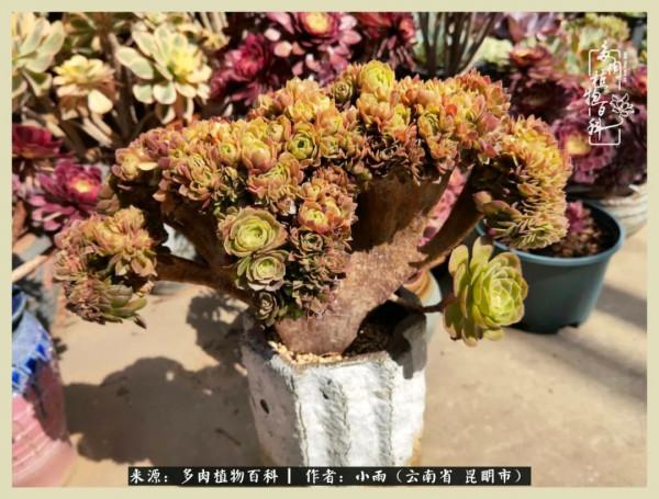 用一份熱愛，溫暖一段時光