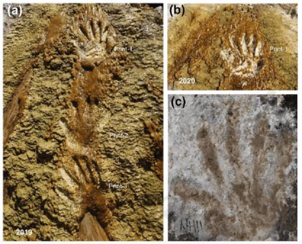青藏高原發現22.6萬年前的手印，堅硬石板上清晰可見，是誰留下的