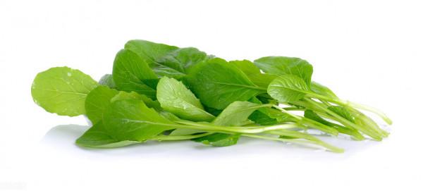 為什麼春天容易走人？立春後怎樣養生，吃點什麼？答案都在這裡