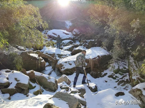 新春走基層 &vert; 他們，守護著&OpenCurlyDoubleQuote;野生&rdquo;冰墩墩