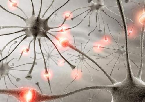 日本的機器人,到底有哪些功能?日本為何發展仿生機器人? 日本的機器人,到底有哪些功能?日本為何發展仿生機器人?