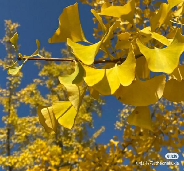 臨近三十歲的女人，現在活成了什麼樣子？
