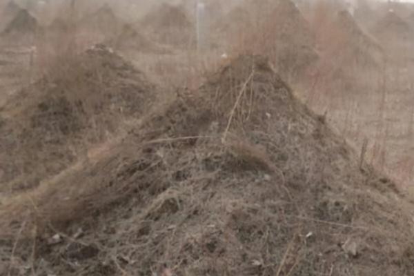 第二十八篇 在《紅樓夢》中撕扇子和送戒指與撿麒麟的隱寫