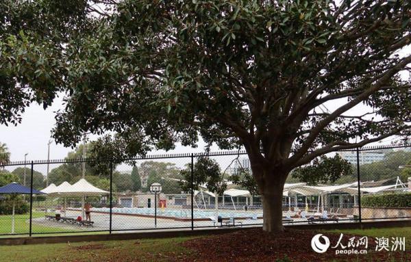 澳大利亞悉尼迎來“解封”首日