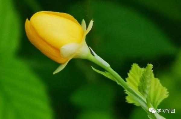 晚間悅讀 | 學會做人，懂得做事