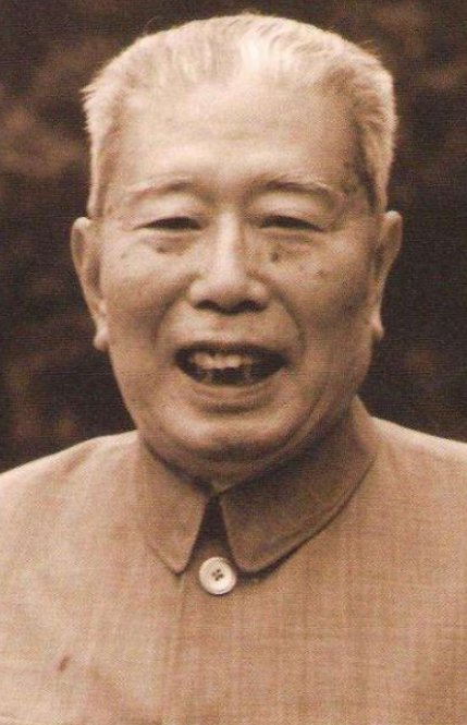 1983年開國上將楊勇病逝，八寶山安葬後，兒子提出異議：年齡有誤