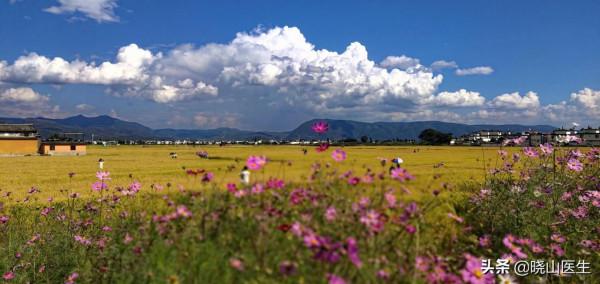 不一樣的大理自由行筆記，住宿、交通、路線詳細攻略，避坑