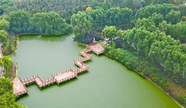 請君入孝義 邂逅秋天的浪漫