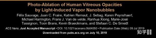 飛蚊症(玻璃體混濁)的最新國外研究(飛蚊症需要社會更多關注) 飛蚊症(玻璃體混濁)的最新國外研究(飛蚊症需要社會更多關注)