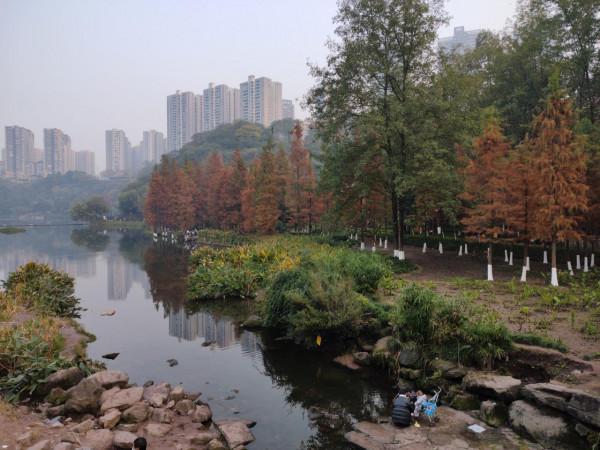 首發價1799！moto edge S30體驗，首款888 Plus+LCD屏手機靠得住嗎？