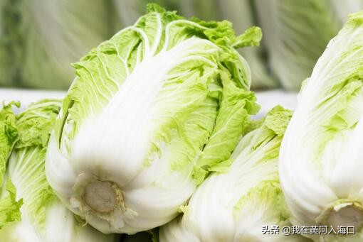 2021年為什麼蔬菜價格暴漲?後續還會漲嗎?今日蔬菜價格行情 2021年為什麼蔬菜價格暴漲?後續還會漲嗎?今日蔬菜價格行情