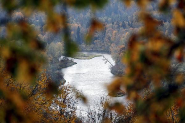 金燦燦的秋季 金燦燦的秋季