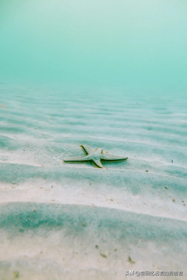 失眠的原因找到了