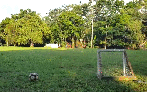 90個神奇照片，剛出生的小刺蝟，大白鯊的驚人尺寸，水上麻將桌椅