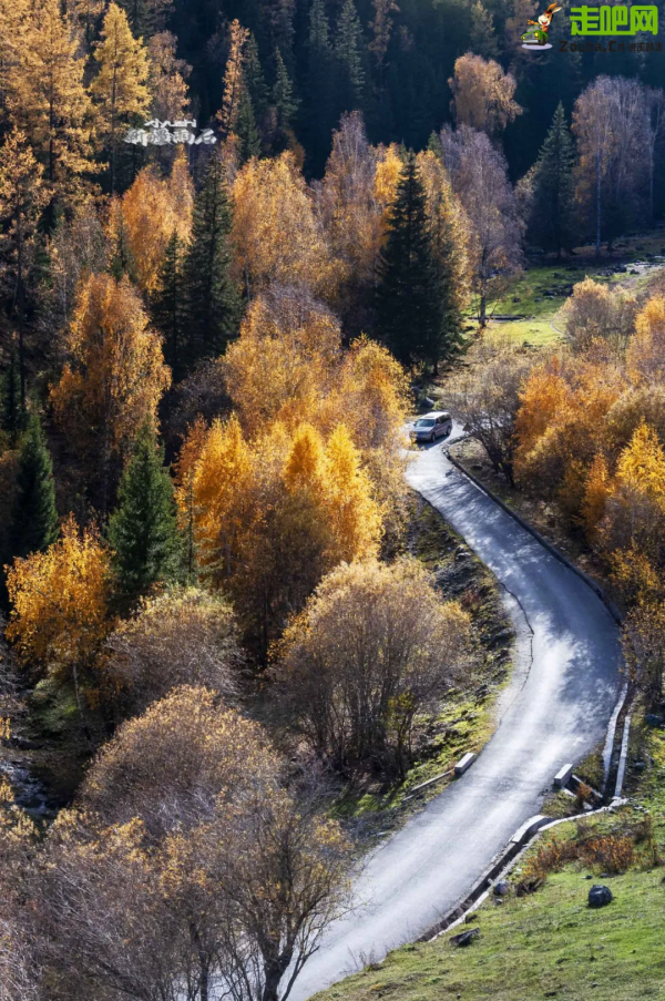 1028名日本人報名遊新疆？新疆顏值實錘了，一年四季，美麗不停歇