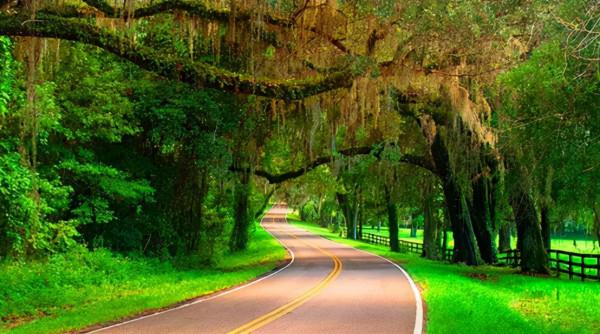 城市的戰略目標與規劃案例分享-美國塔拉哈西市 城市的戰略目標與規劃案例分享-美國塔拉哈西市