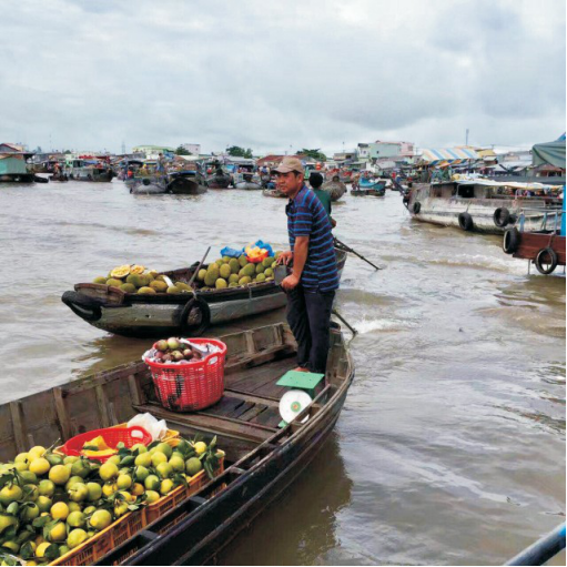 越南夏日風情遊