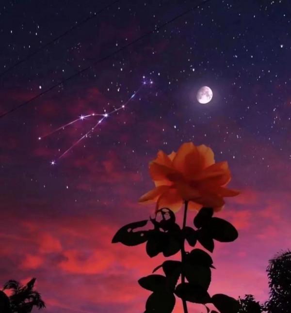 回家(觸景而發) 回家(觸景而發)