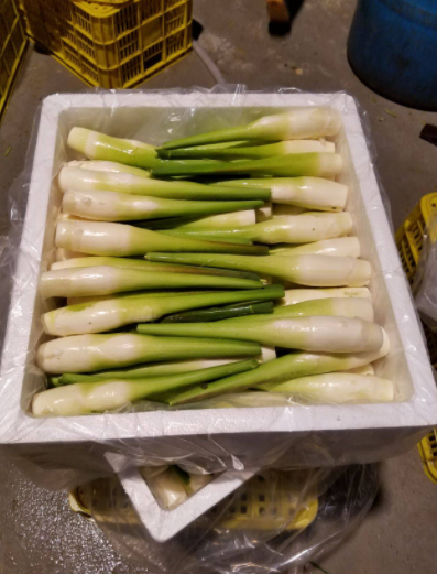 立秋之後，記得多給家人吃“這4白”，營養滋補去秋燥，好吃不貴