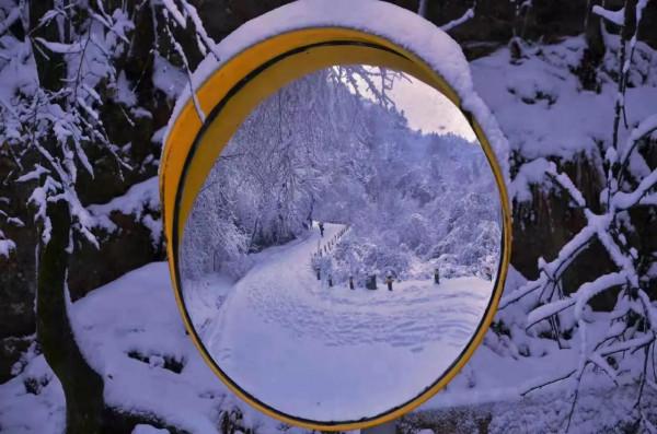 大自然的能量守恆