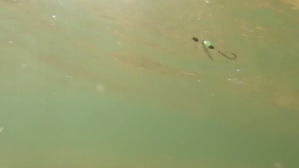 先探深淺!路亞夜釣找魚指南 先探深淺!路亞夜釣找魚指南