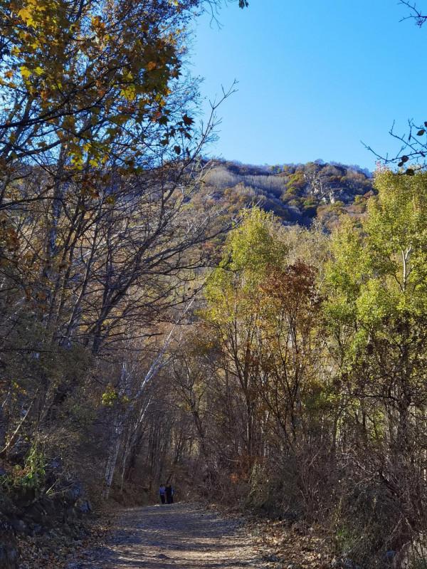 喇叭溝門——秋季賞楓賞白樺 喇叭溝門——秋季賞楓賞白樺