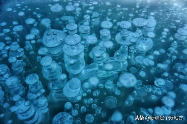 新疆冬日八大奇景，怕是藏不住了！