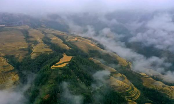 廣西龍脊梯田:雨後雲霧如畫 廣西龍脊梯田:雨後雲霧如畫