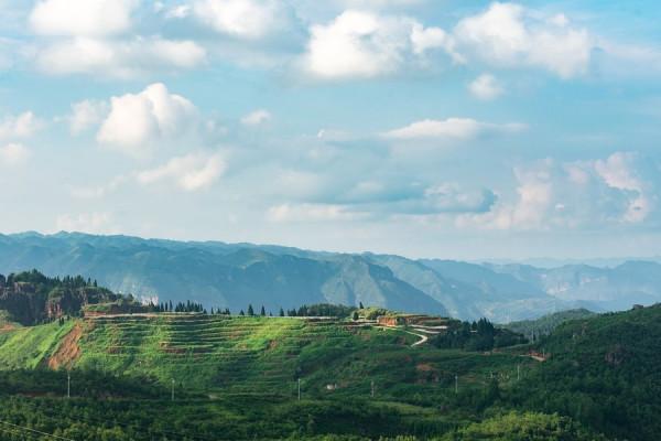 十二生肖2021年10月29日運勢查詢 十二生肖2021年10月29日運勢查詢