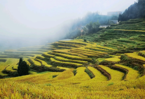 人一輩子的悲哀是什麼? 人一輩子的悲哀是什麼?