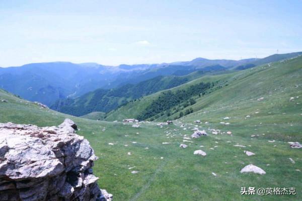 河北“空中草原”景觀,綠草如茵、野花遍地,海拔高達2158米 河北“空中草原”景觀,綠草如茵、野花遍地,海拔高達2158米