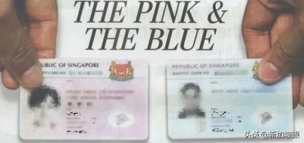 疫情下的新加坡太缺人，申請PR趁現在