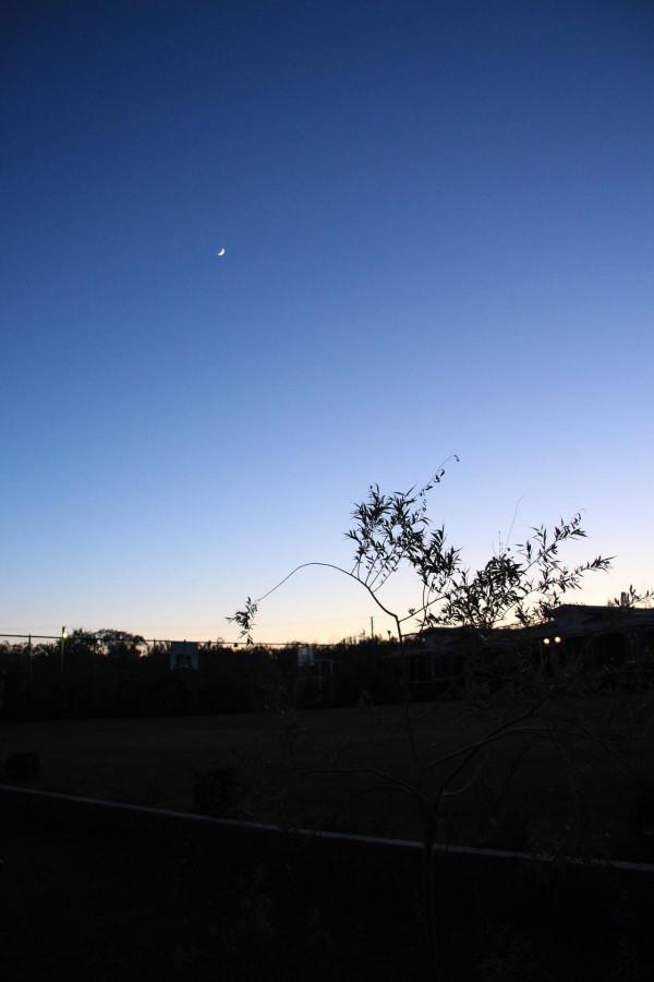 中亞五國漫遊之吉爾吉斯，我們在那裡拜謁了詩仙李十二出生的地方