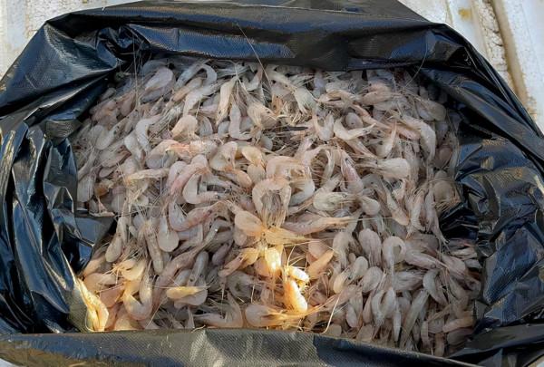 吉林記憶：一盤麻辣豆腐開啟餐飲文化，簡單飯菜卻是最深刻的印象