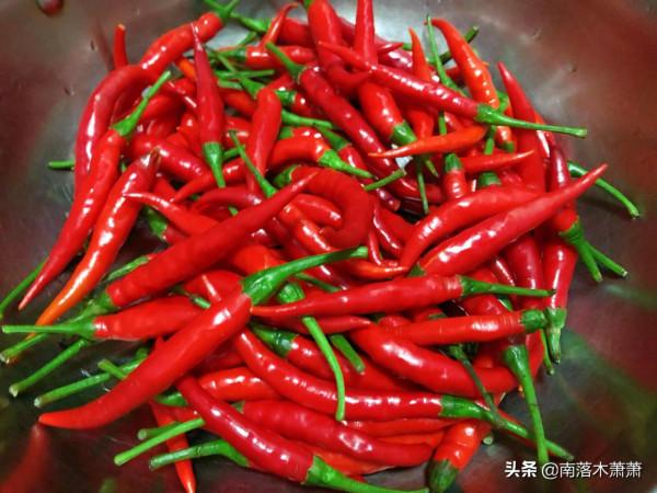 蒜蓉小米辣椒醬，讓我一次辣個夠，辣椒醬這麼做實在是太過癮啦