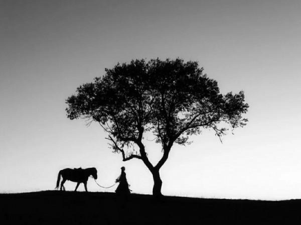 雙減政策下禁止課外補課，解救了被內卷的家長