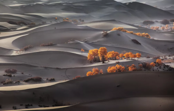 如果一年只能去一次南疆，千萬不要秋天去