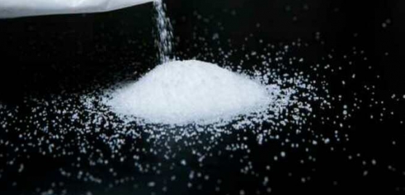 科學家成功製造超微型相機：僅一粒鹽大 可拍全綵圖