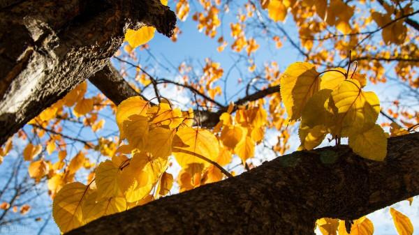 秋冬天身體乾燥怎麼辦?簡單的生活小常識 秋冬天身體乾燥怎麼辦?簡單的生活小常識