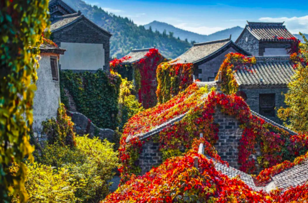 11月旅遊出行新規上線,你最關注哪一項? 11月旅遊出行新規上線,你最關注哪一項?