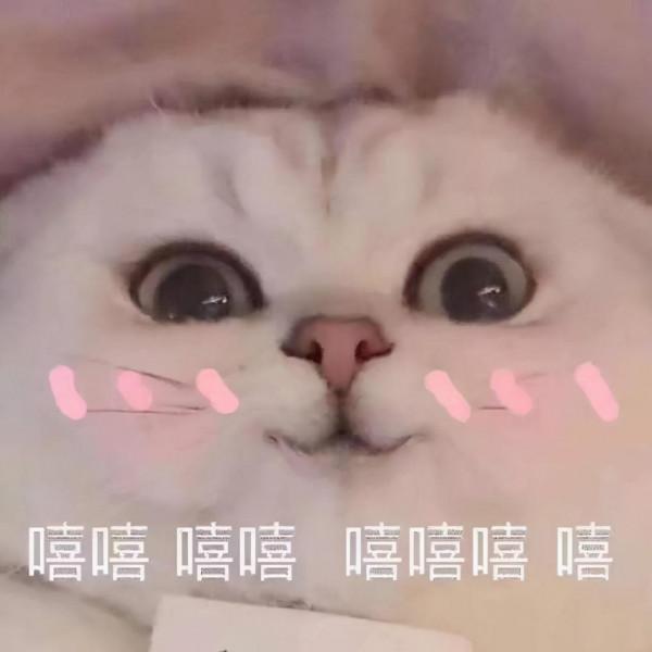 1000多塊錢也想要高效能筆記本？好，安排