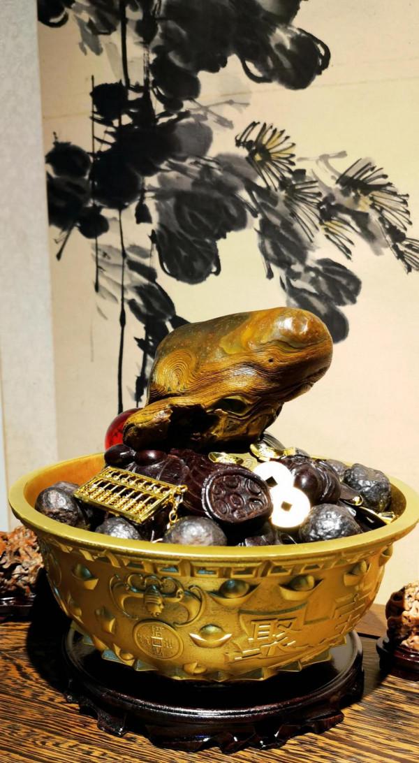 奇石《律動的金蟾》立意和鑑賞